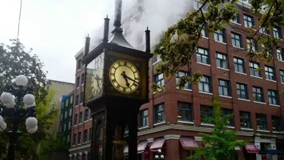 แวนคูเวอร์: การผจญภัยชมปลาวาฬพร้อมทัวร์ชมเมืองแบบส่วนตัว