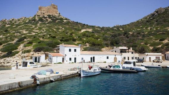Colonia Sant Jordi：前往卡布雷拉的經典和快艇之旅