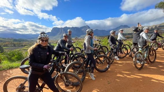 E-Bike Stellenbosch Winelands - Tour privato di un giorno intero