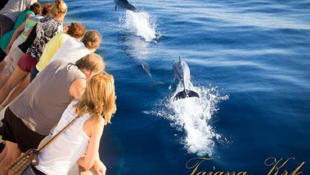 Krk:Rab & Pag Boat Trip with Swimming & City Tour with lunch