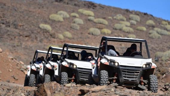 Las Palmas: Gran Canaria Guided Buggy Tour