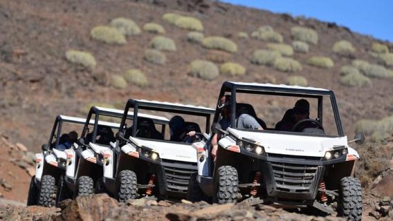 Las Palmas: Gran Canaria Guided Buggy Tour