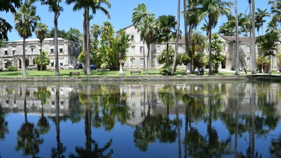 Barbados: Coastal Sightseeing Tour with Lunch and Transfers
