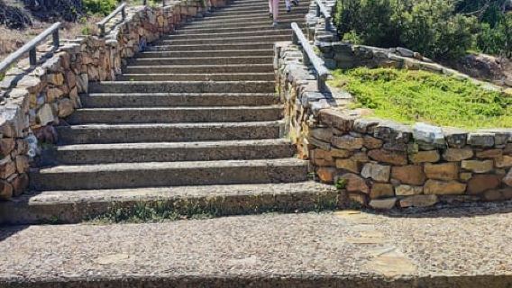 Table Mountain and Cape of Good Hope Day Tour