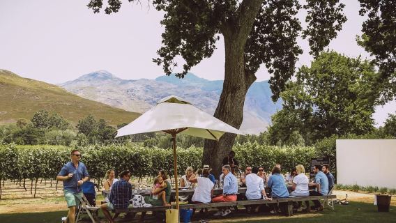From Cape Town: Franschhoek Wine Tram Hop-on Hop-off