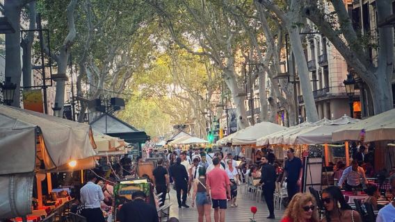 Barcelona: Tur Jalan Kaki Ramblas, Kota Tua & Rumah-Rumah Gaudí