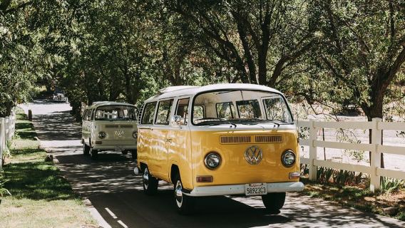 Malibu: Oldtimer-VW-Bus und Weinberg-Tour