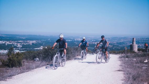 Ecopista E-bike and Basketry tour