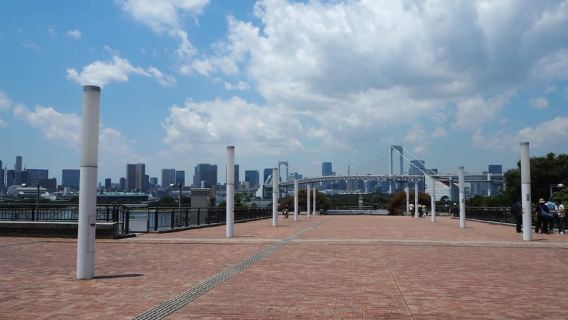 Tokyo: Tur Bus 1 Hari dengan Meiji-Jingu,Odaiba,makan siang&Skytree