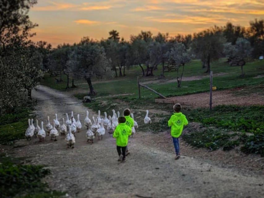 Parco Naturale ed Esperienza Picnic vicino a Firenze