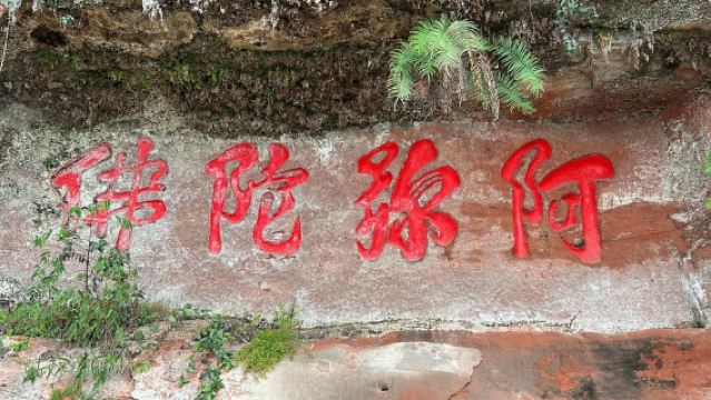 Close to Chengdu: Leshan Giant Buddha & Tasty Local Eats