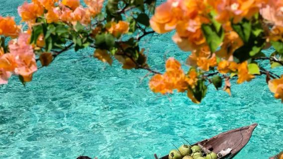 Experiencia de buceo y snorkel de 7 horas en la isla de Mantabuan, Semporna, Malasia [Experiencia de snorkel y senderismo en la isla de Semporna]