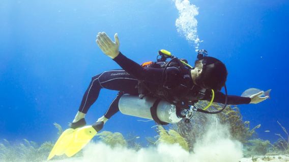 Cozumel: Satu Tangki Scuba Dive dan Akses Penuh ke Taman Chankanaab