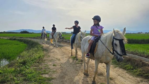 Ebro Delta National Park: Guided Horseback Riding Tour