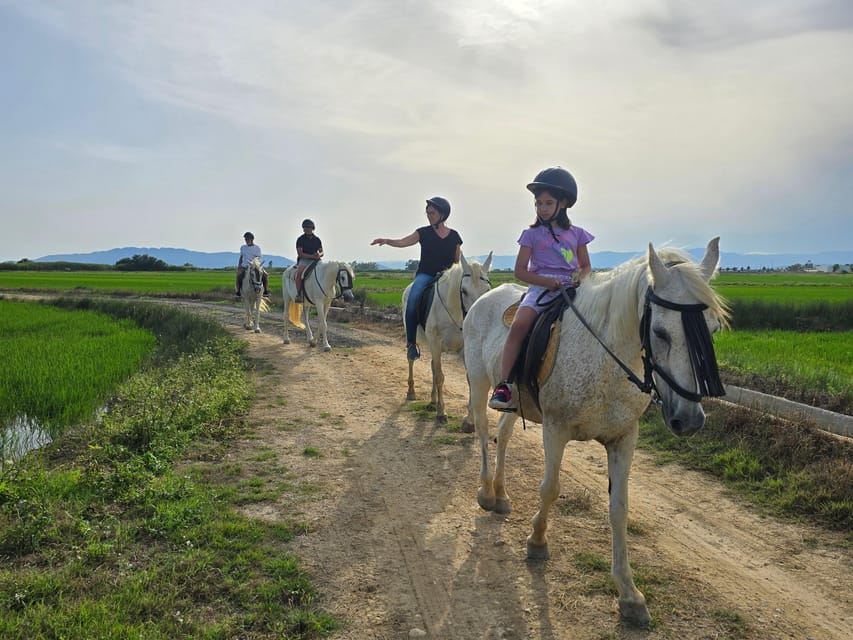 Parco Nazionale del Delta dell'Ebro: Escursione Guidata a Cavallo