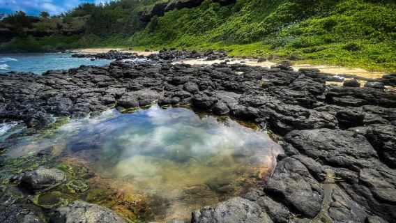 Süd-Mauritius: Einfache Klippen- und Dschungelwanderung zu einem versteckten Wasserfall