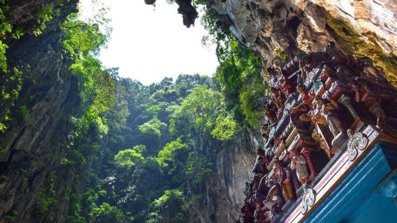 Escursioni in crociera: tour della città di Kuala Lumpur con scalo e transito