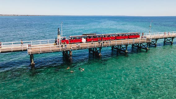 聖誕必囤滿減 珀斯 瑪格麗特河+巴瑟爾頓棧橋一日遊中英文團