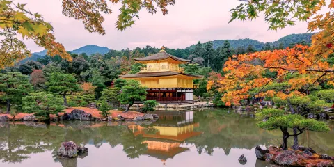 浪漫京都北野天滿宮+金閣寺+嵐山楓葉+小火車賞秋【中文司機】