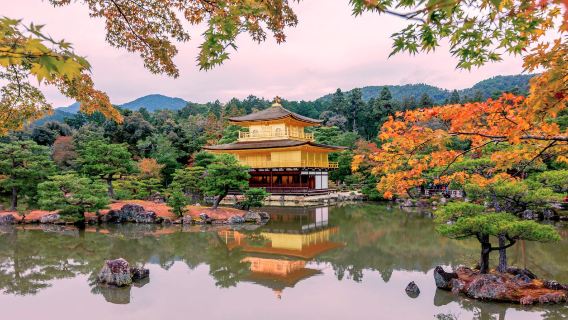 Romantic Kyoto + Kitano Tenmangu Shrine + Kinkaku-ji + Arashiyama Autumn Leaves + Scenic Train Autumn Viewing [Chinese Driver]