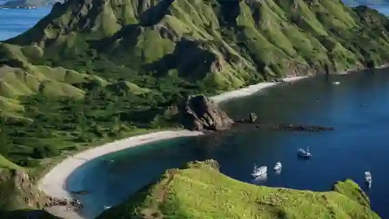 科莫多快艇普通話小團一日遊:帕達爾+粉紅沙灘+科莫多島+海龜島
