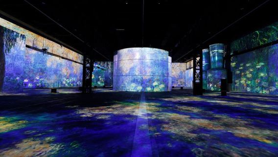 Dortmund: biglietto d'ingresso alla Phoenix des Lumières