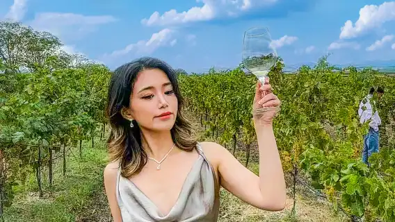 ทัวร์ชิมไวน์และท่องเที่ยวแบบกลุ่มเล็กพิเศษในเขตไวน์นาปาและโซโนมา จากซานฟรานซิสโก