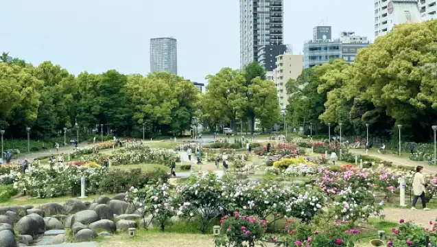 【CARAT來結伴】大阪同款打卡包車之旅