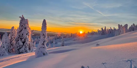 亞布力滑雪旅遊度假區一日遊【新體委陽光+全套雪服+馬拉爬犁+雪地摩托】