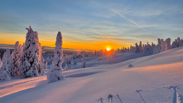 Lawatan Sehari ke Gelanggang Ski Yabuli Xintiwei dengan Perkhidmatan Kereta Api Berkelajuan Tinggi [Pakaian Ski Viral + Goggles Ski + Helmet]