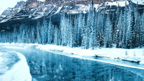 однодневный тур в Банф (зимний Банф/городок Банф)