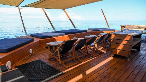 Fiji South Sea Island Cruise Half-day Tour