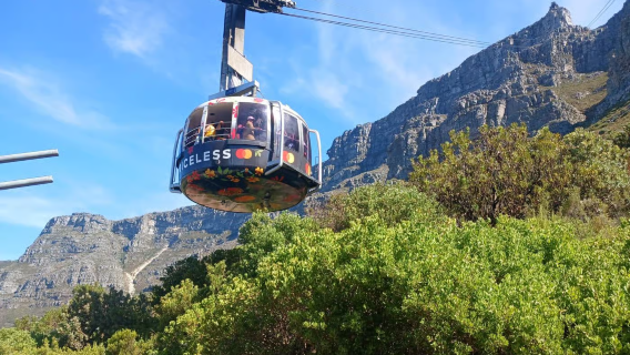 Cape Town day tour to Table Mountain, Boulders Beach, and Cape Point (Cape of Good Hope/Simon's Town)