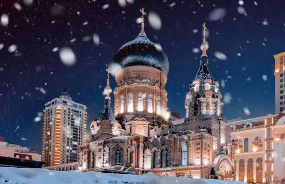 湯旺河出發-茅蘭溝森林公園+中俄界江廣場+恐龍地址公園一日遊