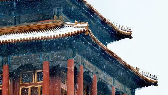 The Palace Museum 180-minute in-depth guided tour with admission ticket + morning/afternoon session options (English group)