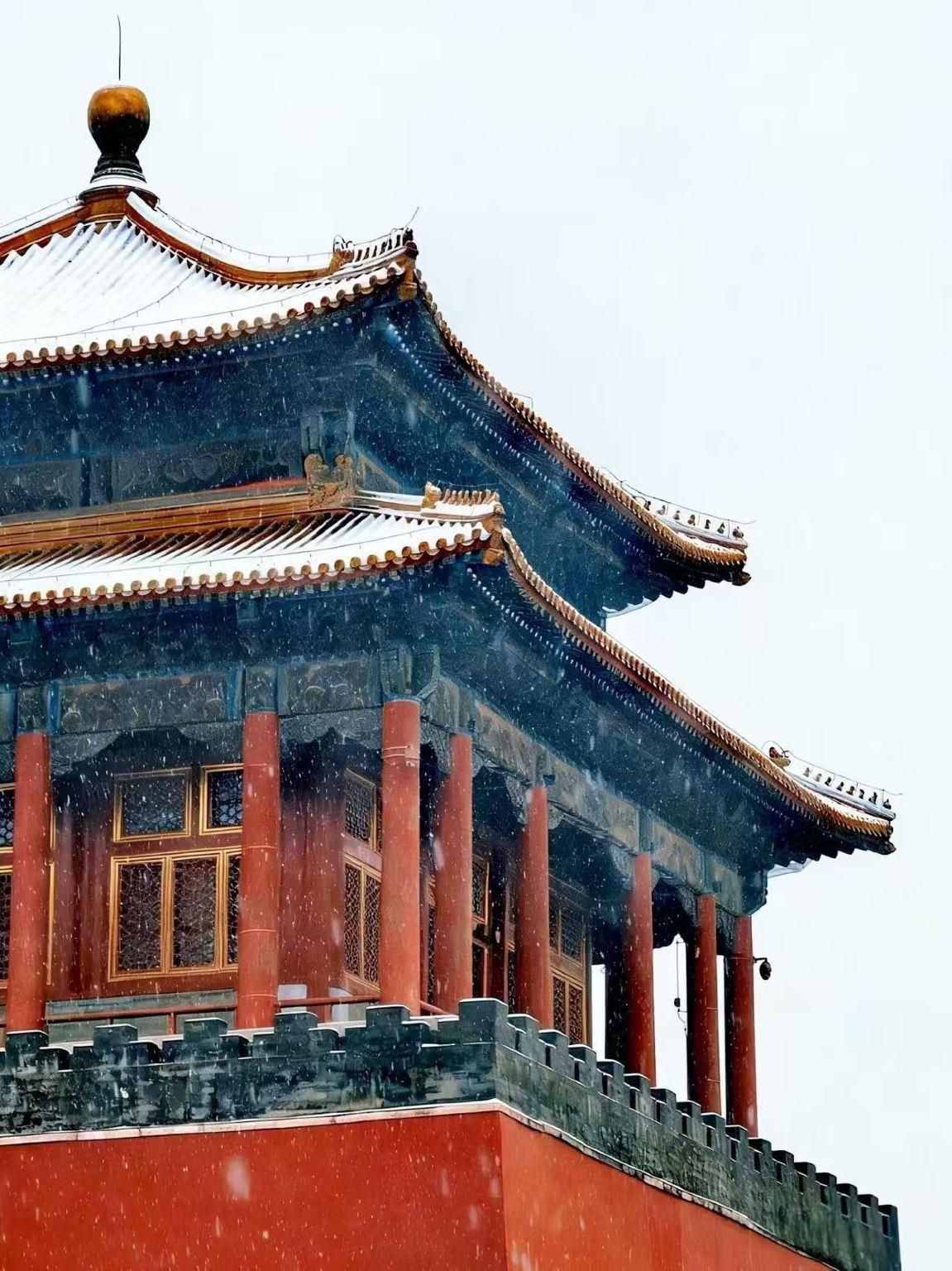 The Palace Museum 180-minute in-depth guided tour with admission ticket + morning/afternoon session options (English group)