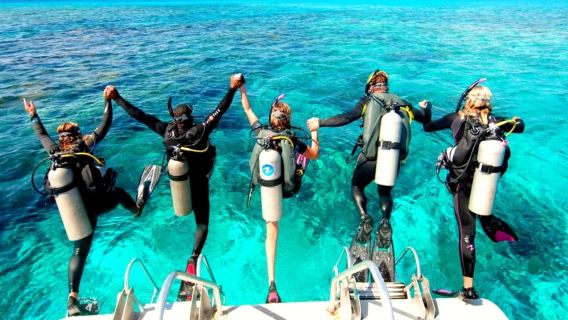 EgittoHurghadaScopri le immersionisubacquea/snorkeling7 ore [con pranzo]