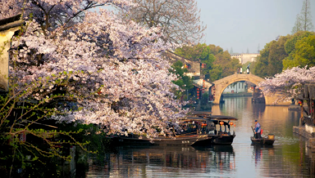 Shanghai Nearby Ancient Towns: Fengjing Ancient Town + XITANG HISTORIC TOWN OF CHINA + [Private Charter 1-Day Tour, Flexible Itinerary]