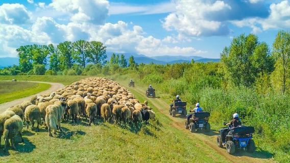 ATV-Quad-Safari-Tour mit Picknick und Schwimmen ab Split