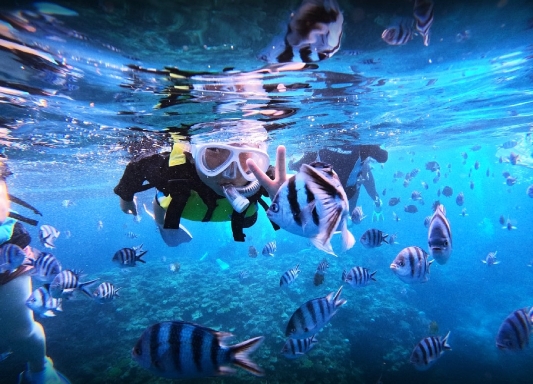 日本沖繩市水下攝影浮潛2小時 【船上浮潛 (免費提供攝影/錄影/餵食體驗)】