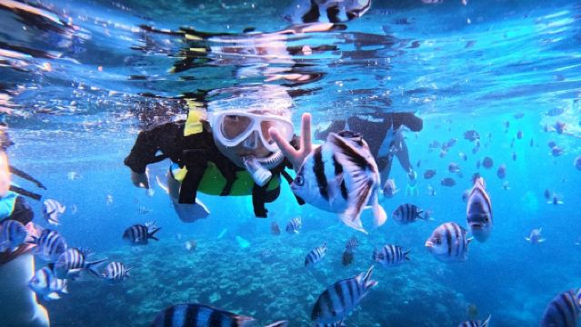 일본오키나와수중 사진스노클링2시간 [보트 스노쿨링 (사진/영상/먹이주기체험 무료)]