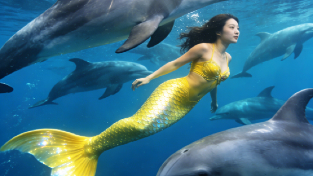 Excursión de un día en el Mar Rojo de Egipto: snorkel, buceo, avistamiento de delfines en Hurgada, isla del Paraíso y barco con fondo de cristal