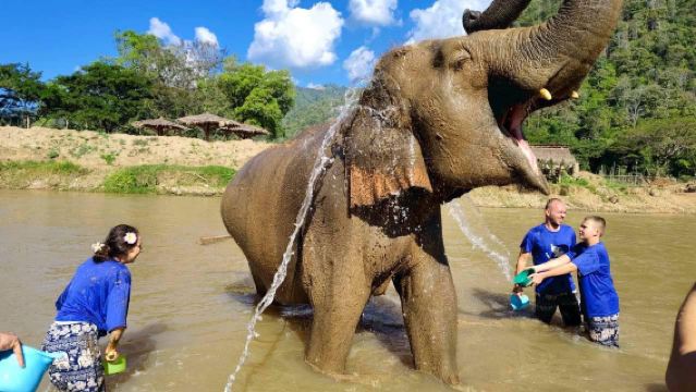 Chiang Mai: Adventure Lover Options Ethical Elephant, Sticky Waterfall, Rafting, ATV or Trekking