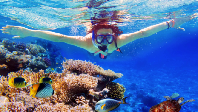 Tour giornaliero di snorkeling all'isola di Hon Mun a Nha Trang con pranzo barbecue e trasferimento incluso