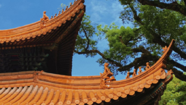 Wuzhen-Pulau Putuo: Hotel di bandar | Stesen kereta api laju | Pengangkutan sehala titik ke titik | Sewaan peribadi perjalanan tersuai