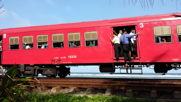 ทัวร์วันเดียวรถไฟชายฝั่งศรีลังกา+ฟาร์มฟักไข่เต่า+ผจญภัยป่าชายเลนเบนโตตา|ปรับแต่งได้