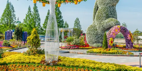 限定| 高陽花博覽會X DMZ纜車X美軍基地X坡州藝術村