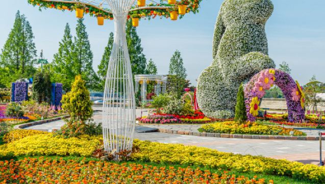 Limited-time offer | Goyang Flower Expo X DMZ Cable Car X US Military Base X Paju Arts Village
