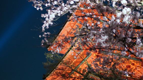 日本京都大阪私人行程訂製包車遊/中文司機/到府接駁