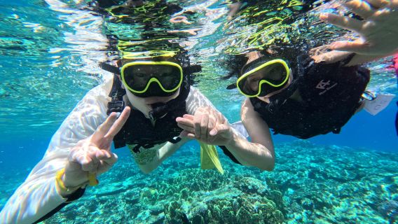 Okinawa Mizuna-eiland snorkelen + wateractiviteiten: inclusief bootticket, snorkeluitrusting, strandparasol en gratis fotoservice